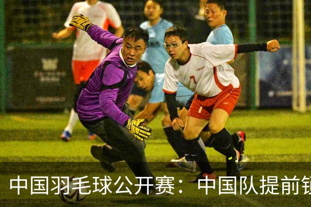 中国羽毛球公开赛：中国队提前锁定混双冠军